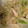 yukanori's cooksnap of when they made 鶏ささみともやしのあっさり中華炒め.