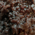 KUCCi's cooksnap of when they made ☆つぶあん作り方☆ 手作りおはぎに！.