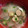 snow012's cooksnap of when they made 大根とウインナーのうまだしスープ.