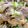 monari0510's cooksnap of when they made 簡単おつまみ！砂肝のさっぱりポン酢和え.