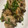 げんままま's cooksnap of when they made すごくおいしい！蠣のバターしょうゆ炒め.