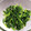 あたりめっこ's cooksnap of when they made 桜エビとほうれん草のおひたし✿.