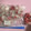 クックDRQB6R☆'s cooksnap of when they made いちごの冷凍保存.