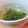 ヒソカ★ナニカ's cooksnap of when they made 簡単　わかめスープ.