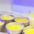 和kaz's cooksnap of when they made ゼラチンで簡単！とろとろプリン.