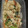 クックUL8OCM☆'s cooksnap of when they made 青梗菜ときのこの中華風・豆腐の白和え.