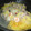 ミヤモッチ's cooksnap of when they made ずっとアツアツ！あんかけ塩焼きそば.