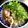 dogyuzu's cooksnap of when they made 簡単♪フォー・ガー（ベトナム鶏肉うどん）.