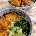 よしよしのキッチン☆'s cooksnap of when they made 斬新！かき揚げのうどん.