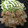 猪木の単身赴任メシ's cooksnap of when they made 鶏むね肉のしょうが焼き.