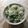 NottySan's cooksnap of when they made 簡単！鮮やかシワなし☆グリンピースごはん.