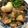 kotaren♪'s cooksnap of when they made とっろとろ～♪圧力鍋で豚バラの角煮.