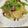 スィーツ好きえみぃ's cooksnap of when they made タコとセロリのパスタ〔オイルベース〕.