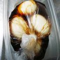 nisiji2's cooksnap of when they made うずらの味玉♬.
