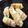 まなぽー。's cooksnap of when they made にんにくの芽の豚バラ巻き巻き♪.