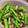 もんち222's cooksnap of when they made 舞茸とアスパラの中華炒め.