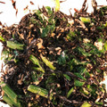 クックAAKMT5☆'s cooksnap of when they made ひじきとほうれん草のツナマヨ和え.