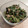 みこひろママ's cooksnap of when they made ほうれん草のごまツナマヨ和え.