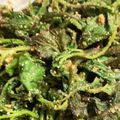 しーさつまま's cooksnap of when they made うどの茎できんぴら&ウドの葉で胡麻和え.