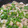 もんち222's cooksnap of when they made 簡単！ピーマンと玉ねぎのそぼろ！.