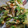 クックTOJFIZ☆'s cooksnap of when they made 白ネギ卵.