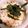 まさきさまさここ's cooksnap of when they made 10分で！あさりのむき身で簡単混ぜご飯.