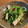 ★りなんち★'s cooksnap of when they made 簡単♪鶏むね肉と豆苗のにんにく炒め.