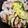 ☆suzuka☆'s cooksnap of when they made 野菜と豆腐のタジン鍋蒸し.