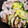 ☆suzuka☆'s cooksnap of when they made 野菜と豆腐のタジン鍋蒸し.