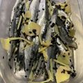 minami1967's cooksnap of when they made ご飯おかわり！鰯のゴマ漬け.