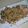 ｃｉｎｚａｎｏ's cooksnap of when they made ☆簡単　大根の皮と豚バラ肉のポン酢炒め☆.