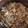 Lumigreen's cooksnap of when they made 旦那も作れる！簡単１５分！煮るだけ牛丼.