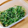 とも0806's cooksnap of when they made 簡単水菜の胡麻和え.