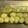 年中ねぼすけ's cooksnap of when they made 簡単おつまみ＊めんつゆ柚子こしょう味玉.