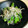 ｂｅｒｒｙ＋'s cooksnap of when they made ●◎●ししとうとシラスのごま油炒め●◎●.