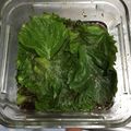 クックHDGWME☆'s cooksnap of when they made 大葉漬け.