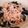 pukukoko's cooksnap of when they made すぐにできちゃう！簡単！明太子うどん♪.