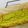 ユカtoマオマオ's cooksnap of when they made グルテンフリーキャロットケーキ.