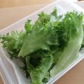RIKOTORA's cooksnap of when they made 【便利】フリルレタスの保存☆.