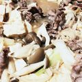 クックVL4391☆'s cooksnap of when they made 【簡単】【絶品】肉豆腐.