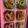 ◎みーちゃん◎'s cooksnap of when they made ごま油香る☆やみつき甘辛ちくわ.