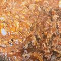 achanuha's cooksnap of when they made 簡単！本格的！ハヤシライス.