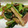 Halü★mama's cooksnap of when they made 小松菜とエリンギのバター炒め.