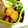 monchan♪♪'s cooksnap of when they made 新じゃがの煮っころがし.