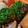 クック3K0H0S☆'s cooksnap of when they made ブロッコリーのゆかり和え.