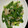yukking81's cooksnap of when they made 万能ネギともやしのナムル.