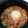 あんぐーりあ's cooksnap of when they made 新玉ねぎと桜えびとベーコンの炊き込みご飯.