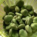youshizu's cooksnap of when they made (簡単)そら豆 茹で方.