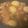 さおたん333's cooksnap of when they made ストウブで 手羽元と大根のこっくり煮.