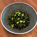 delfiore's cooksnap of when they made ほうれん草とひじきのサラダ.